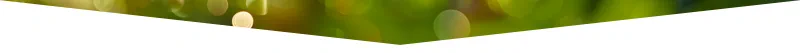 Protect your family from unwanted pests - CLEAN KILL PEST CONTROL