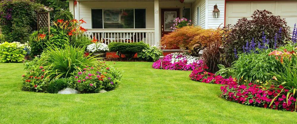 Protect your family from unwanted pests - CLEAN KILL PEST CONTROL