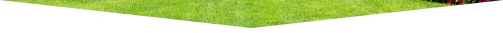 Protect your family from unwanted pests - CLEAN KILL PEST CONTROL