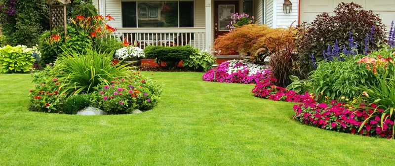 Protect your family from unwanted pests - CLEAN KILL PEST CONTROL