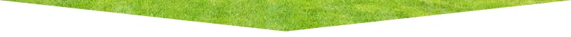 Protect your family from unwanted pests - CLEAN KILL PEST CONTROL