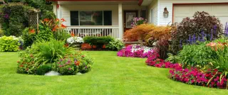 Protect your family from unwanted pests - CLEAN KILL PEST CONTROL