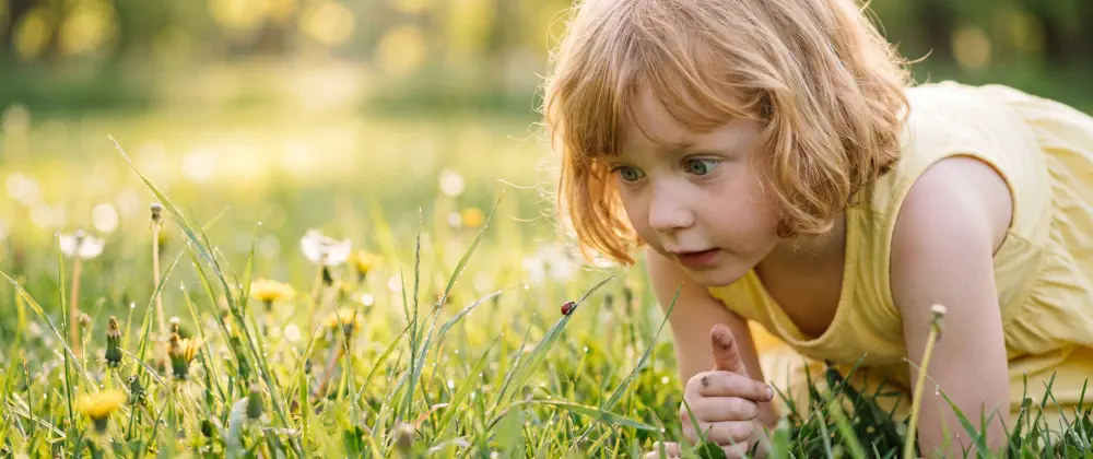 Protect your family from unwanted pests - CLEAN KILL PEST CONTROL