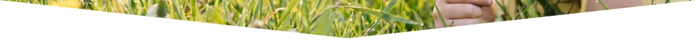 Protect your family from unwanted pests - CLEAN KILL PEST CONTROL