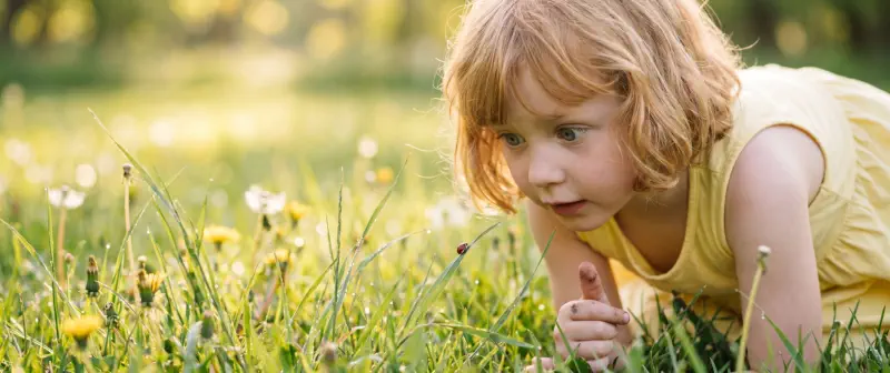 Protect your family from unwanted pests - CLEAN KILL PEST CONTROL