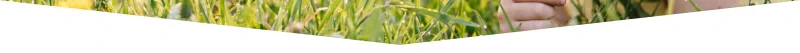 Protect your family from unwanted pests - CLEAN KILL PEST CONTROL