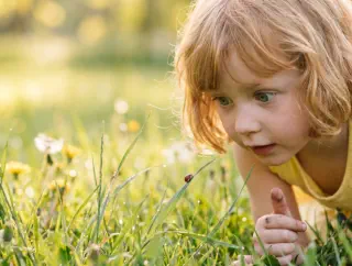 Protect your family from unwanted pests - CLEAN KILL PEST CONTROL