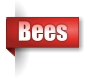 Bees