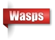 Wasps