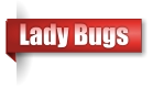 Lady Bugs