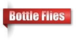 Bottle Flies