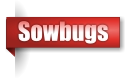 Sowbugs