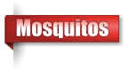 Mosquitos