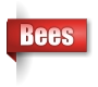Bees