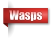 Wasps