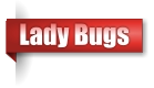Lady Bugs