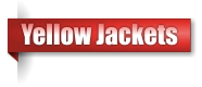Yellow Jackets