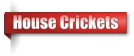 House Crickets