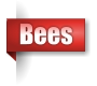 Bees