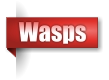 Wasps