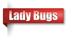 Lady Bugs