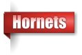 Hornets