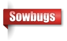 Sowbugs
