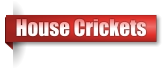 House Crickets